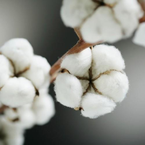 organic cotton baby muslins